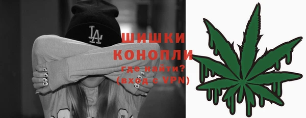 PSILOCYBIN Ладушкин