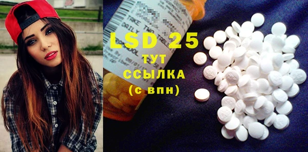 PSILOCYBIN Ладушкин