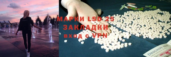 PSILOCYBIN Ладушкин